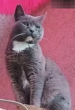 Miezi