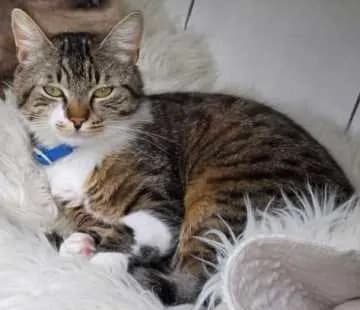 Leo