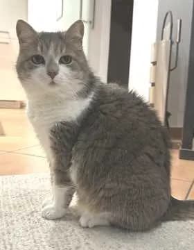 Mimi