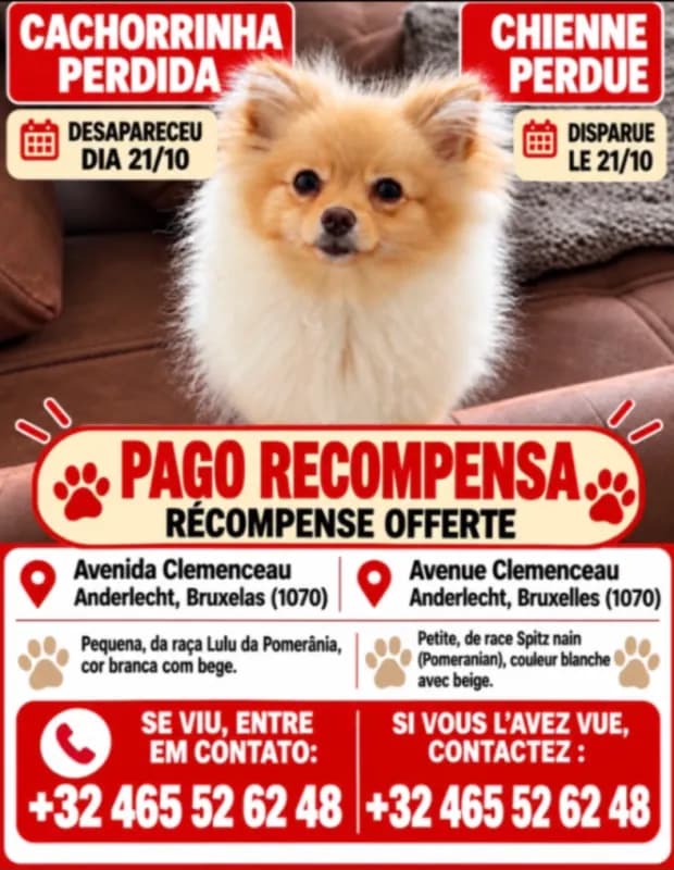Pérola