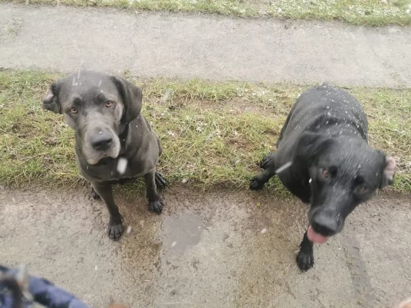 Anuk und Alex