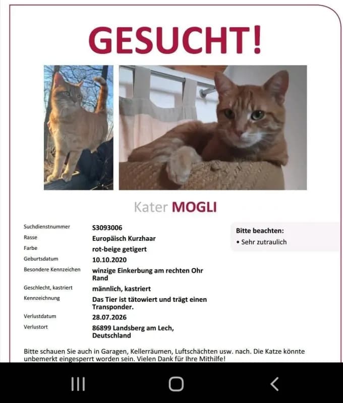 Mogli