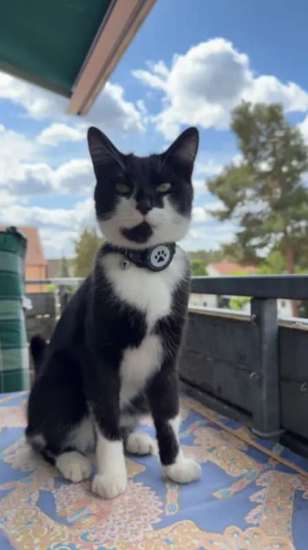 Oskar