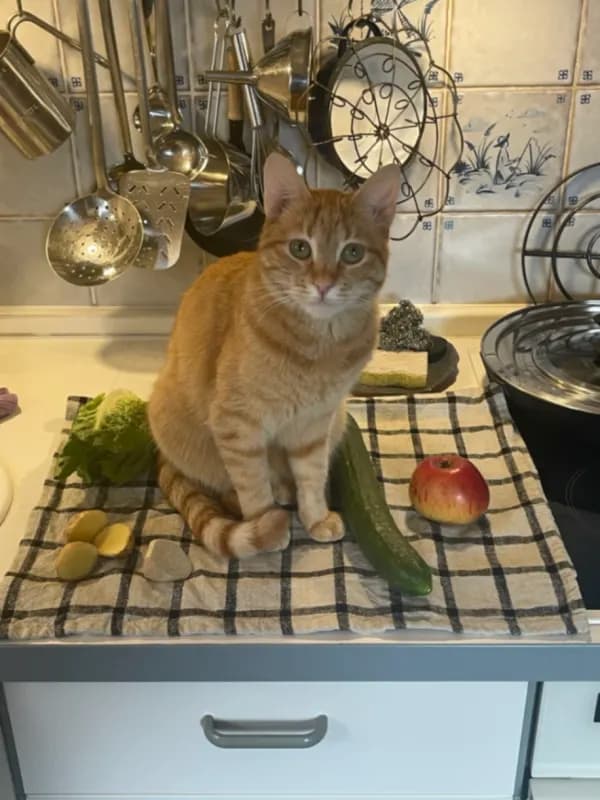 Mimi