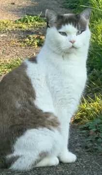 Kasimir