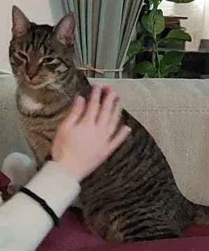 Buddy