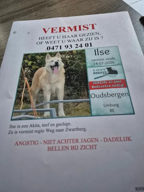 Ilse