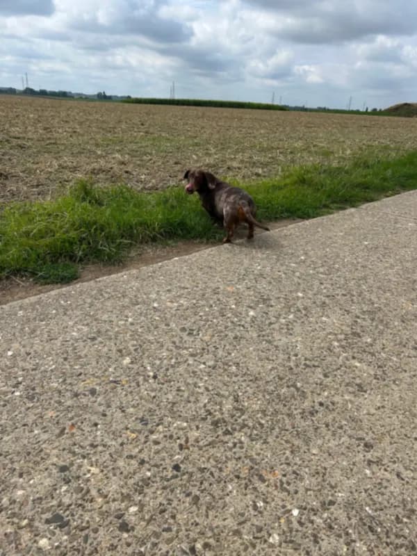 Puck,Teun,Arthur
