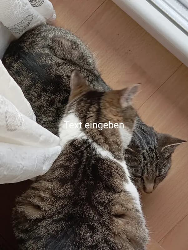 Putzele / Putzele