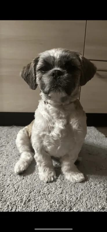 Meilo
