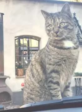 Frieda