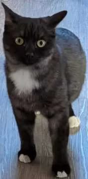 Rico
