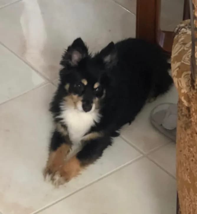 Athena
