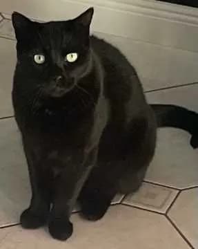 Marley