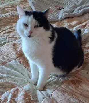 Mia