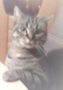 Felix