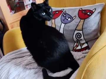 Elias