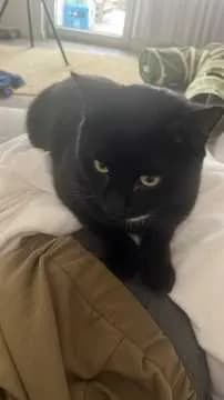 Lenny