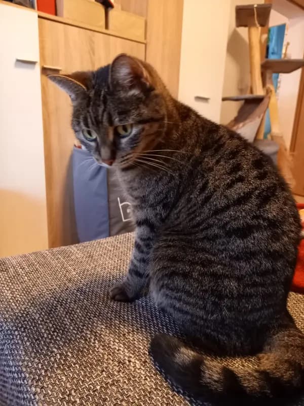 Ellie