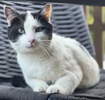 Oskar