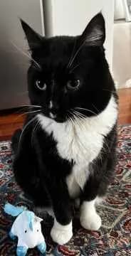 Lilou