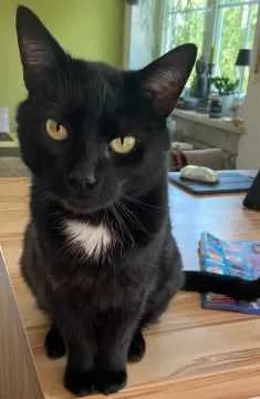 Kafka