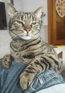 Leo