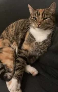 Astrid