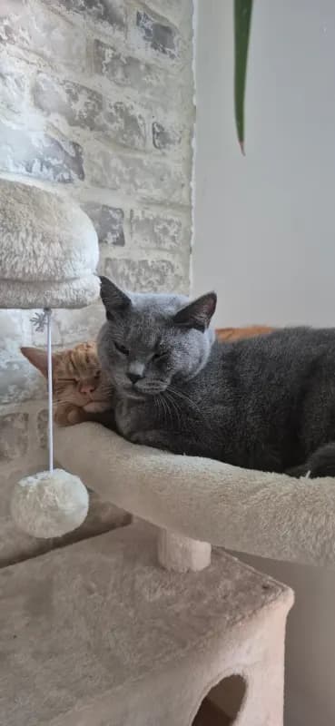 Illy und Lee