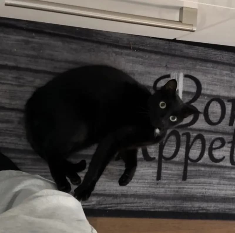 Mimi