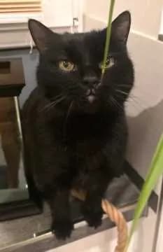 Ben