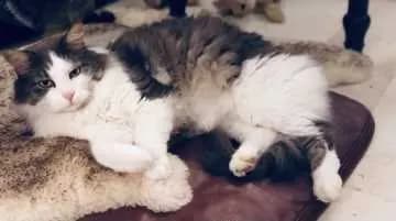 Mister Sophie