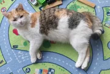 Tina