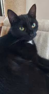 Edgar