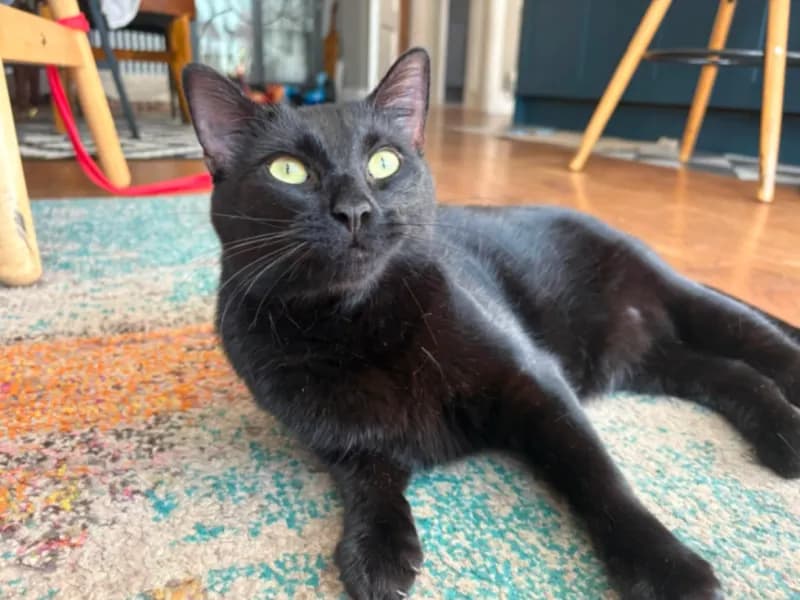 Binx