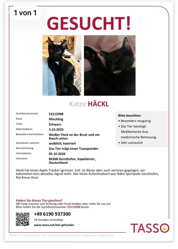 Häckl