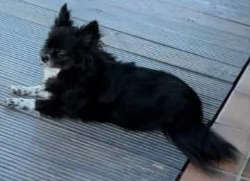Leonie