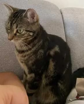 Frida