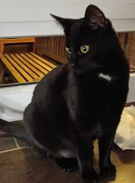 Paula