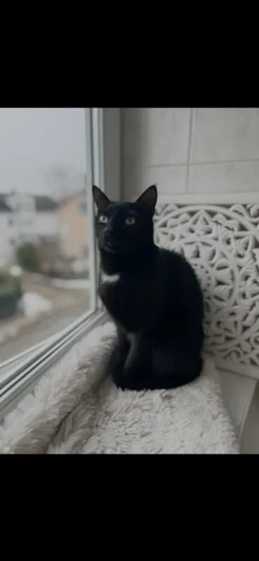 Lenny