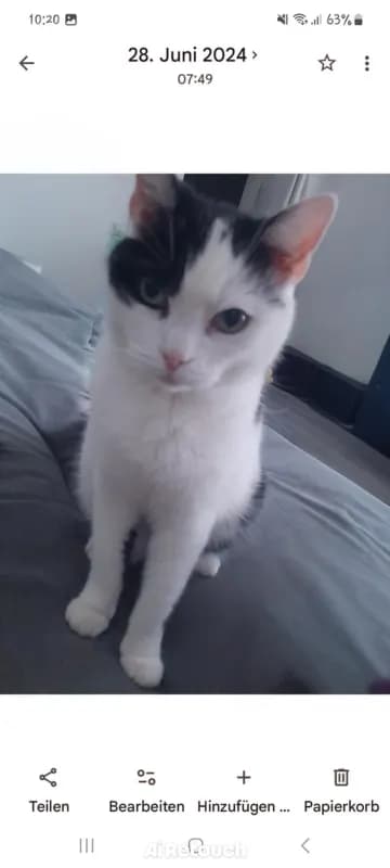 Buddy