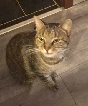 Oskar
