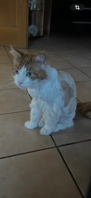 Pablo
