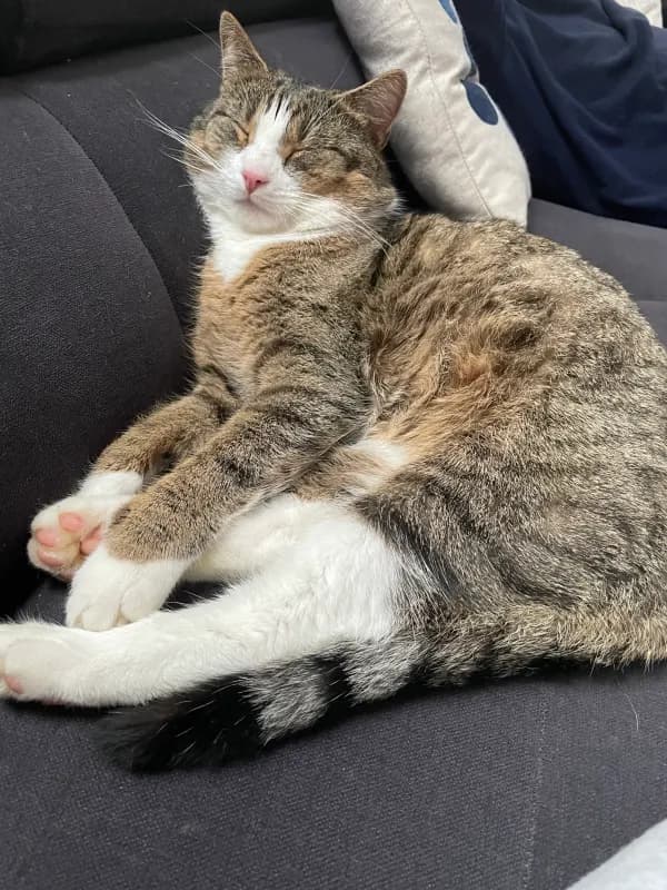 Krümel