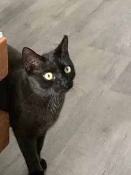 Peter