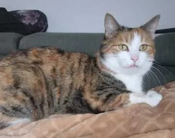 Zita