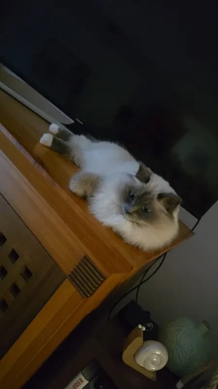 Mia