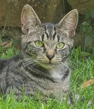 Lucy