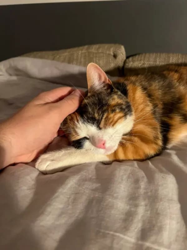 Mimi