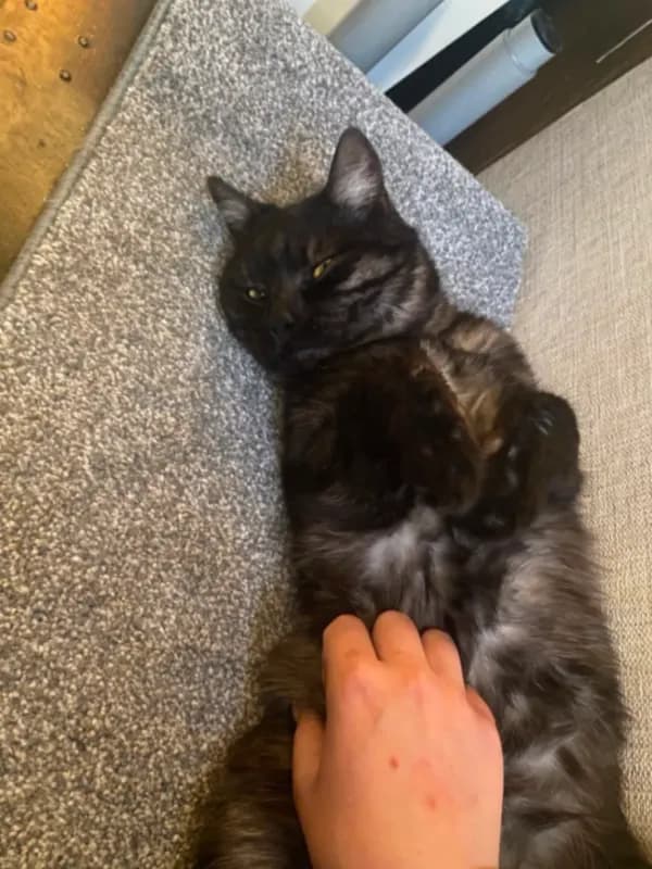 Smokey